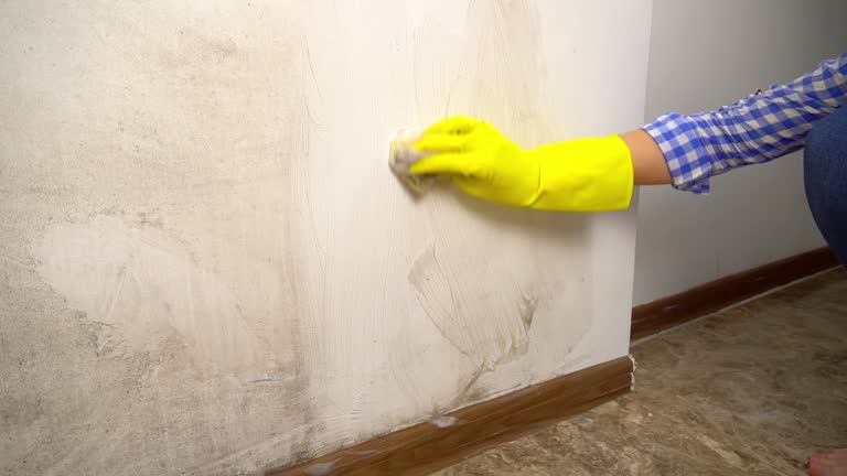 Best Commercial Mold Inspection  in Waverly, OH